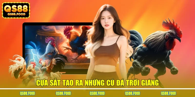 Cựa sắt tạo ra những cú đá trời giáng