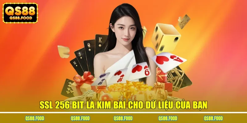 SSL 256 bit là kim bài cho dữ liệu của bạn